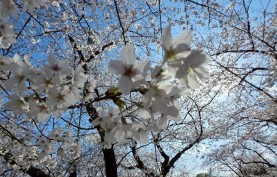 表紙IMG_4339